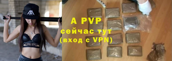 стаф Абинск