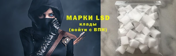 стаф Абинск
