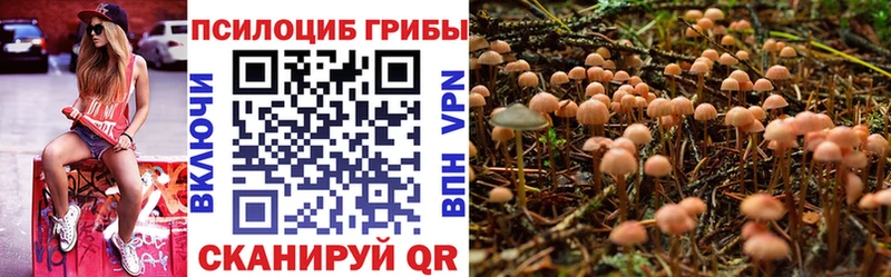 Галлюциногенные грибы Cubensis  mega tor  Дивногорск 